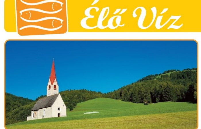 Húsvét 5. vasárnapja - 2020.