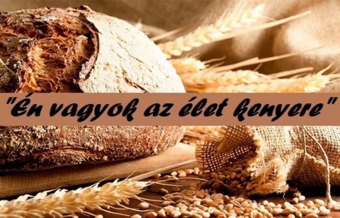 Évközi 18. vasárnap - 2024.