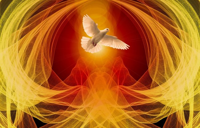 Elsőáldozási és bérmálási tájékoztató