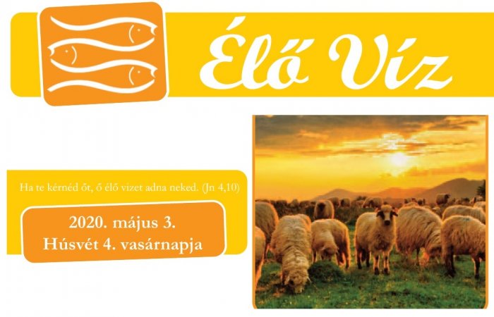Húsvét 4. vasárnapja - 2020.